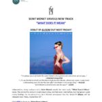 SEINT-MONET_WHAT-DOES-IT-MEAN